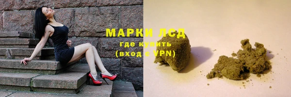 apvp Алзамай