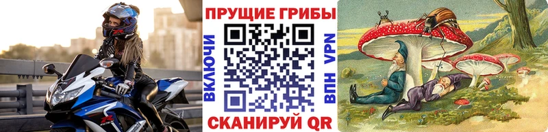 Псилоцибиновые грибы Cubensis гидра маркетплейс Жиздра купить цена